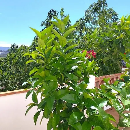 El Carmen De Sexi *